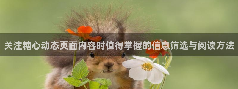 糖心网站在线观看