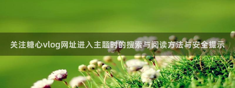 糖心:关注糖心vlog网址进入主题时的搜索与阅读方法与安全提示