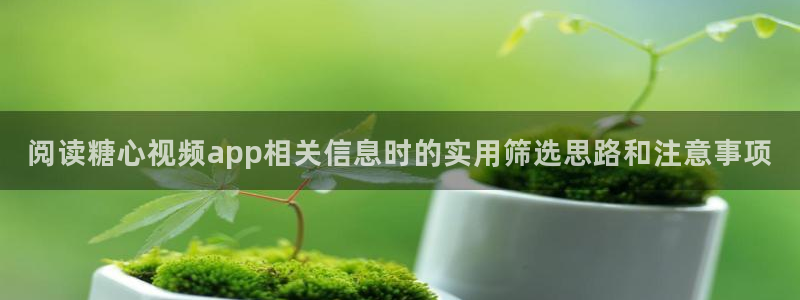糖心视频免费在线观看