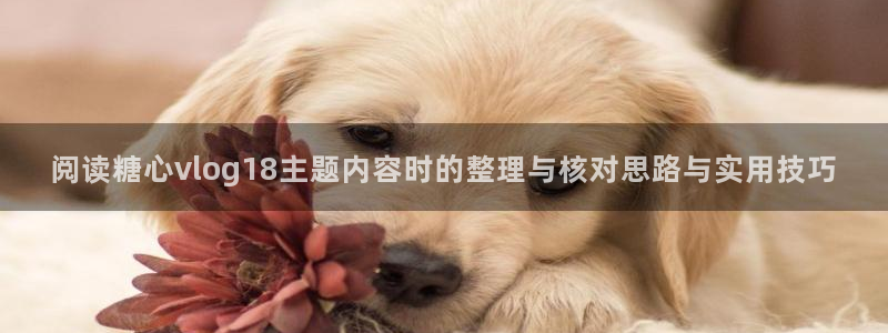 糖心传媒在线播放：阅读糖心vlog18主题内容时的整理与核对思路与实用技巧