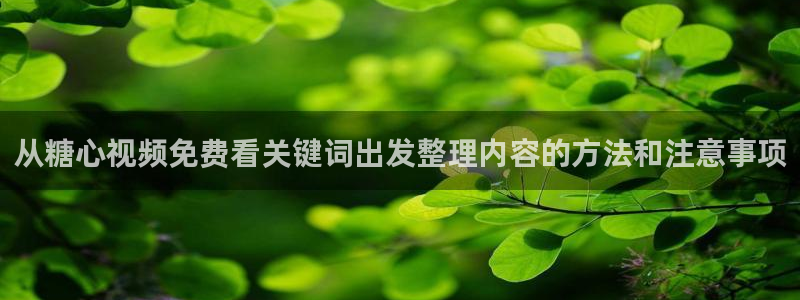 糖心vlog免费在线观看