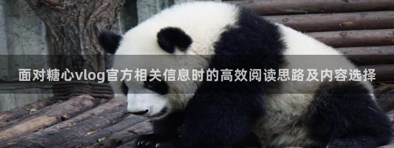 糖心官方最新版