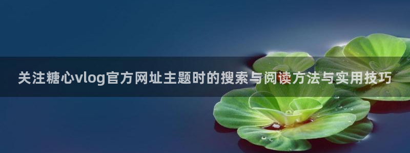 糖心网站