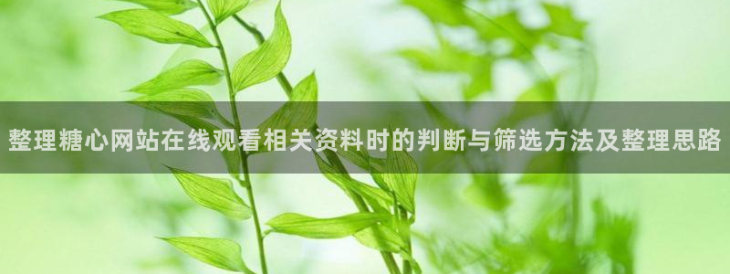 糖心vlog破解
