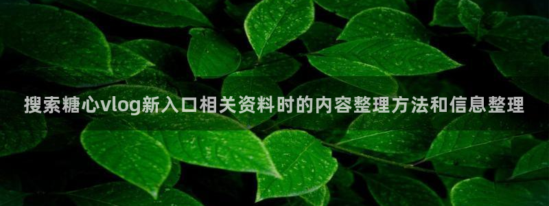 糖心vlog工作室