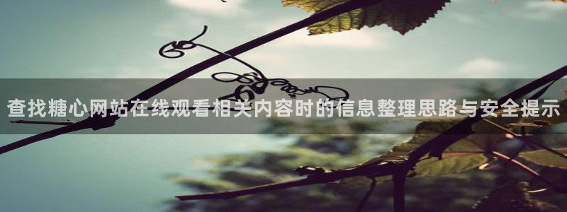 糖心传媒视频
