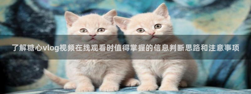 糖心vlog日常:了解糖心vlog视频在线观看时值得掌握的信息判断思路和注意事项