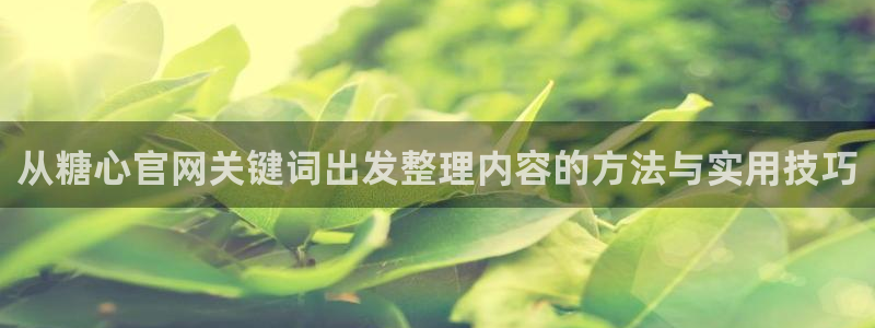 糖心视频app下载:从糖心官网关键词出发整理内容的方法与实用技巧