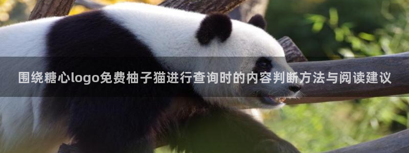 糖心视频在线观看免费