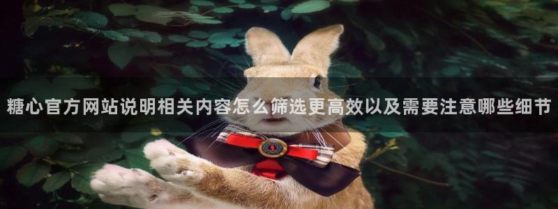 糖心vlog合集：糖心官方网站说明相关内容怎么筛选更高效以及需要注意哪些细节