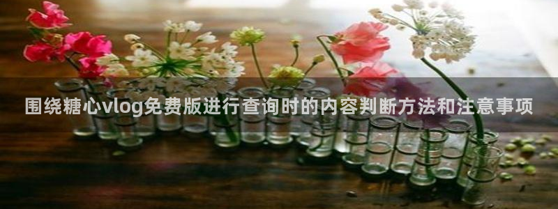 糖心.vlog：围绕糖心vlog免费版进行查询时的内容判断方法和注意事项